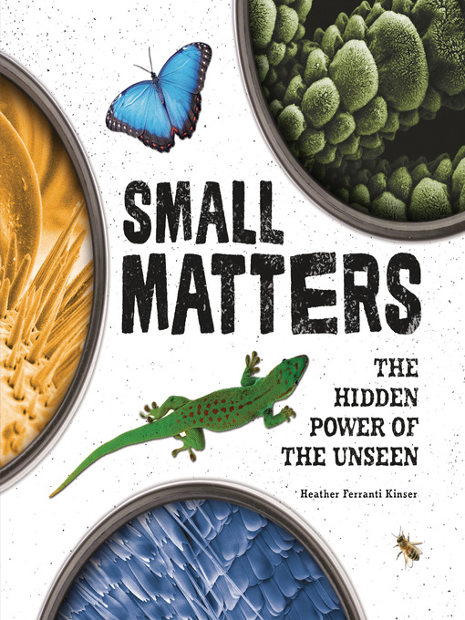 Cover image for Small Matters